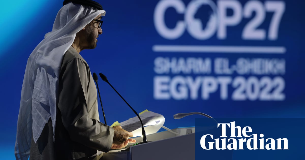 UAE using role as Cop28 host to lobby on its climate reputation | Cop27 ...
