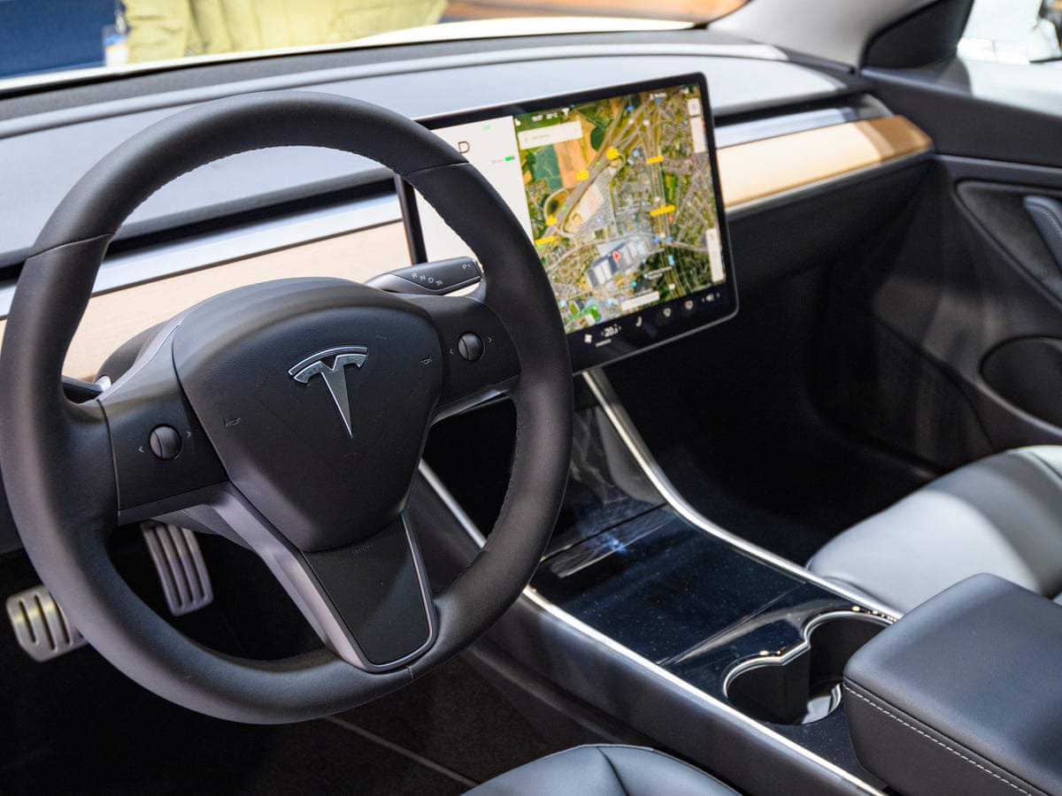 Tesla's self-driving technology fails to detect children in the road, group claims | Tesla | The Guardian