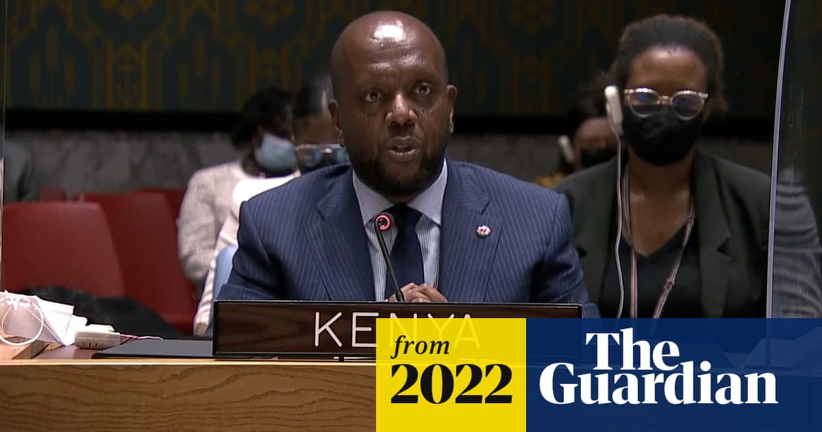Kenya's envoy to UN cites colonial past as he condemns Russian move into Ukraine – video