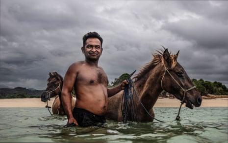 A man takes his Sumba ponies for a swim to cool off from the tropical heat