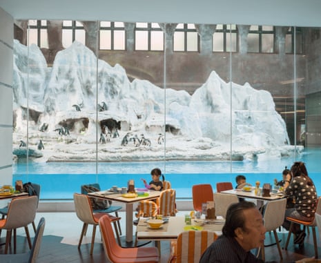 The Chimelong penguin hotel in Guangdong, China, where visitors dine alongside captive penguins in a glacier-themed restaurant.