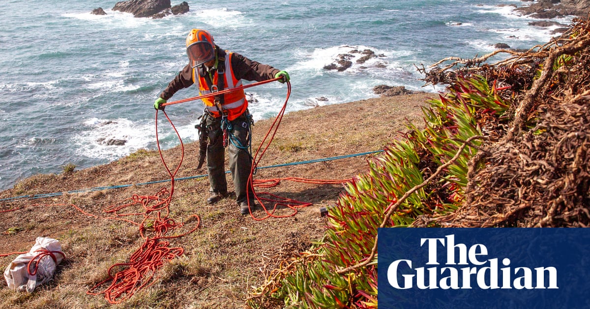 Lizard peninsula recovery project aims to save ‘microhabitats’ | Cornwall