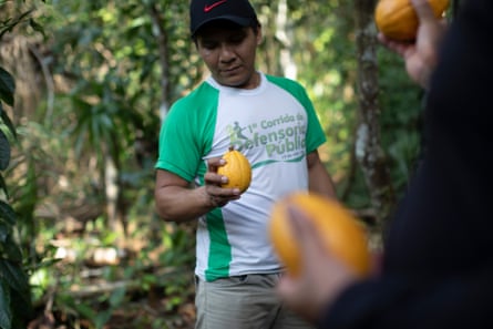 Edmilson Estevão shows a ripe cacao fruit.
