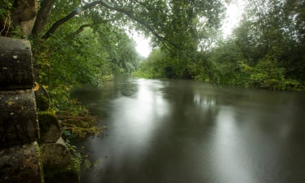 A section of the River Loddon, Berkshire, that has undergone testing by the Twyford and District Fishing Club.