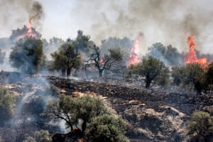 A fire blazes in an olive grove in the village of Salem in the occupied West Bank after Israeli settlers reportedly started a fire near the road to the Israeli settlement of Elon Moreh