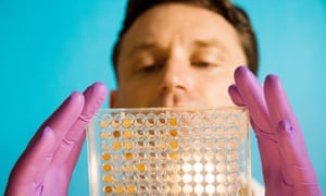 Researcher visually checks microtiter plate used in research.