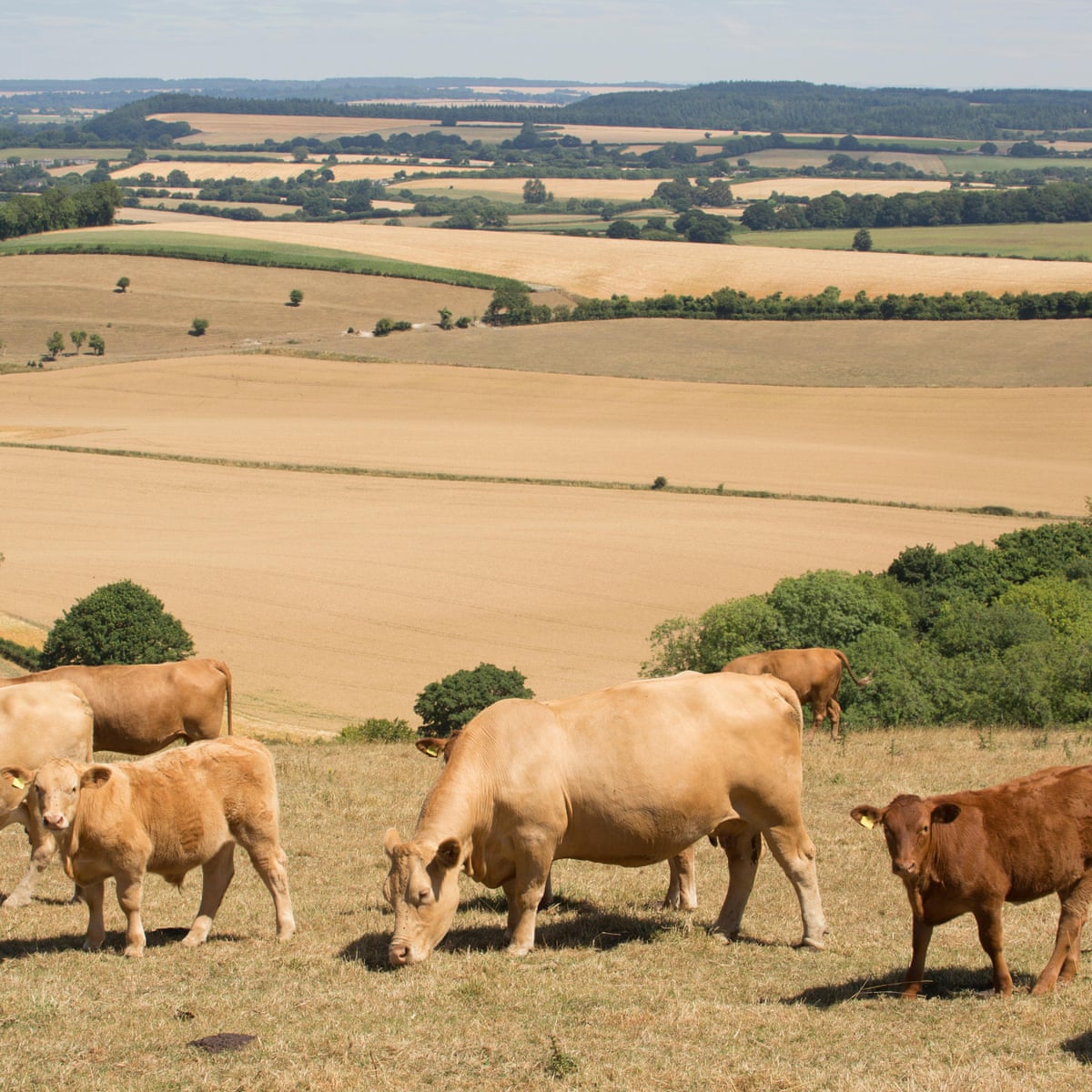 Extreme Weather Could Push Uk Food Prices Up This Year Say