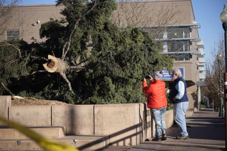 People look at a tree that fell in a neighborhood in Denver, Colorado.