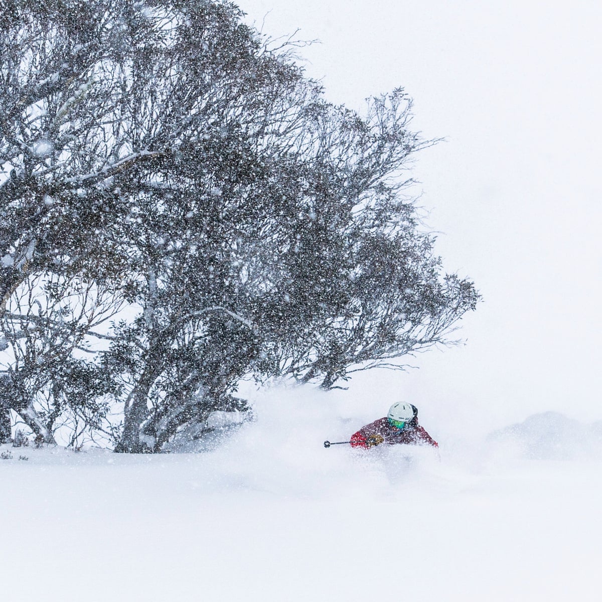 Blue Mountains Braces For Snow As Wild Winds And Cold Weather Batter Nsw Australia News The Guardian