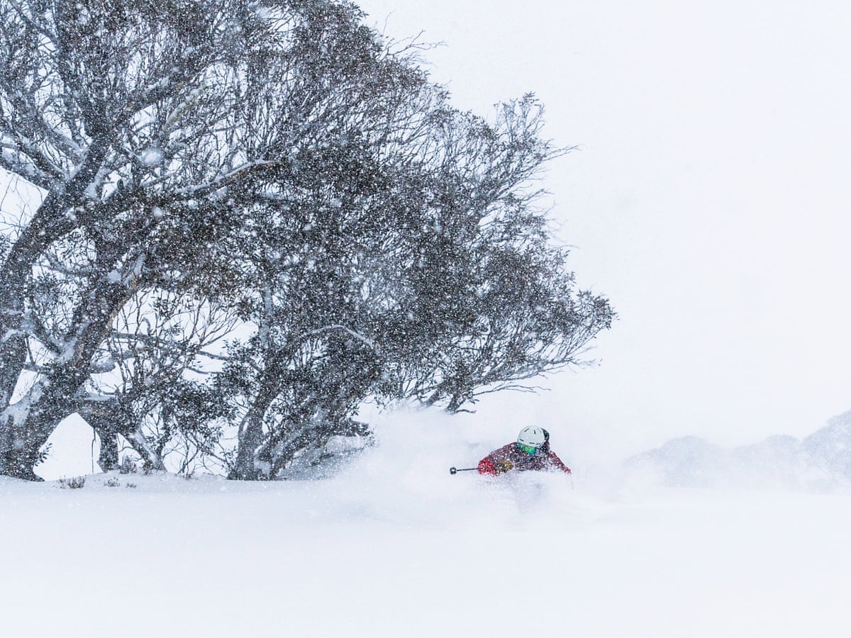 Blue Mountains Braces For Snow As Wild Winds And Cold Weather Batter Nsw Australia Weather The Guardian Blue Mountains Braces For Snow As Wild Winds And Cold Weather Batter Nsw Australia Weather The Guardian