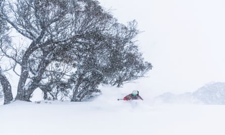 Blue Mountains Braces For Snow As Wild Winds And Cold Weather Batter Nsw Australia Weather The Guardian