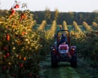 EnviroWireDaily — More farming co-operatives could ‘unleash growth’ in UK, finds report