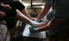 ‘Smart bandage’ with biosensors could help chronic wounds heal, study claims