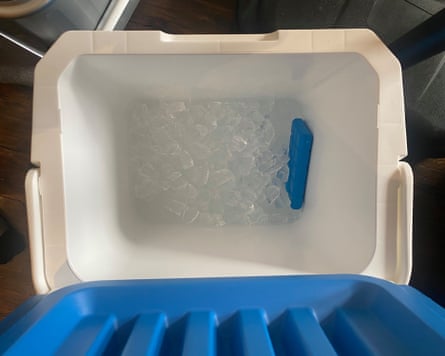 A blue and white cool box filled with ice cubes