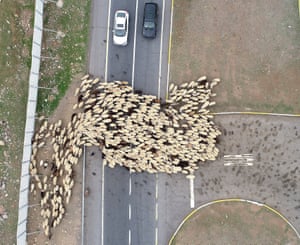 Bingol, TurkeyA drone photo shows an aerial view of nomads and their animals on their way to cooler uplands