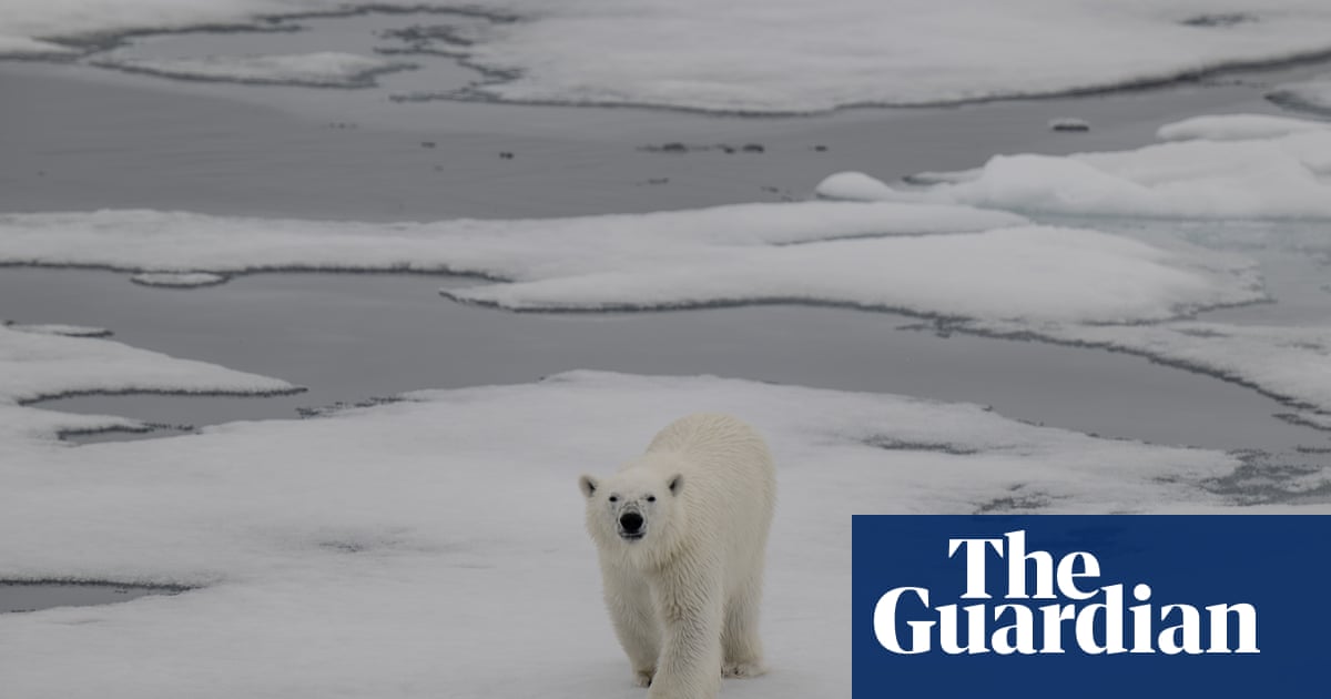 Scientists say an ice-free summer in the Arctic is possible within the next decade  North Pole