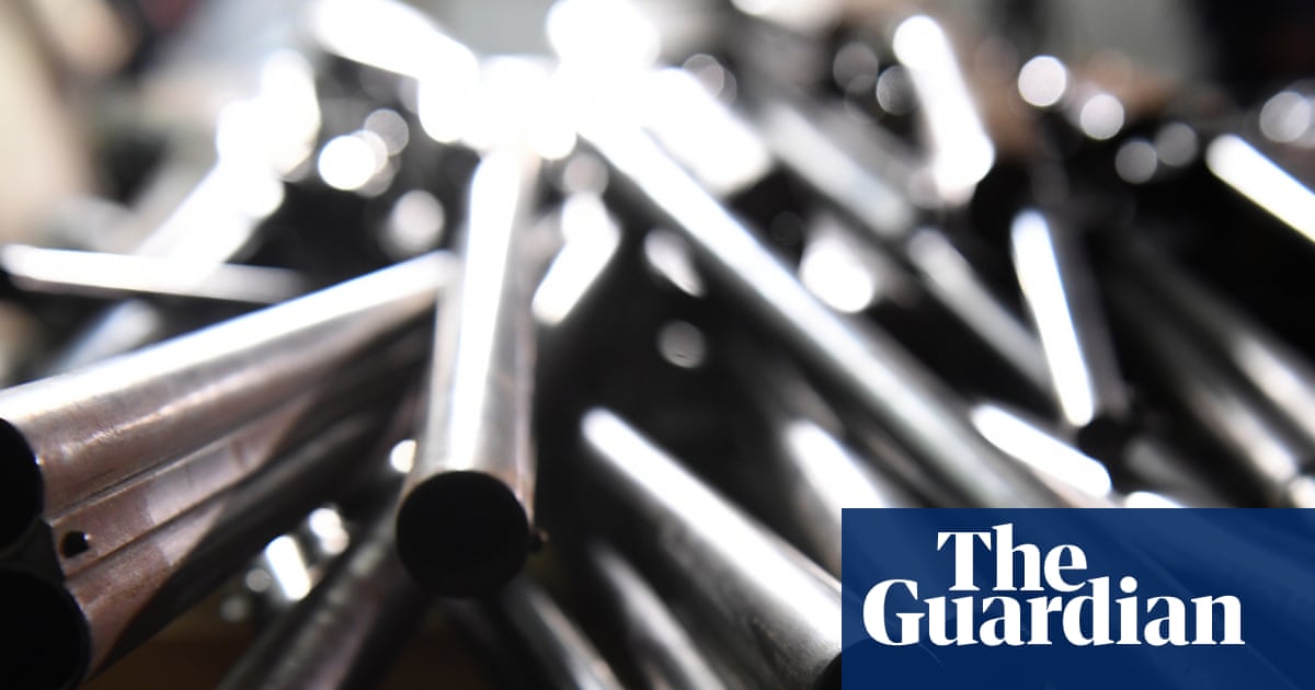 Sydney’s suburbs have a ‘frightening concentration’ of gun ownership, data shows