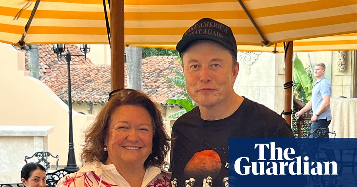 Gina Rinehart makes 'significant investment' in Elon Musk's SpaceX