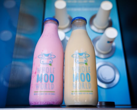Bottles of Whole Moo World milkshakes with pink and chocolate-brown milk.