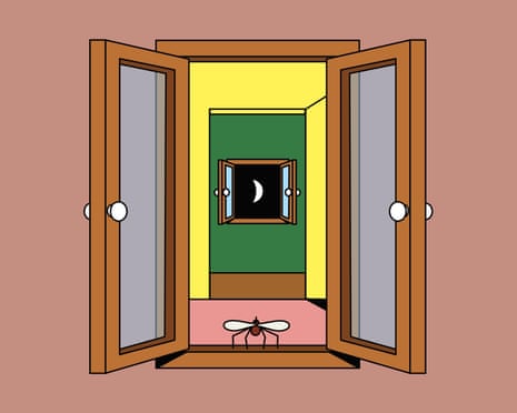 A perspective view through open windows showing nested rooms, with a fly in the foreground and a crescent moon visible through the innermost window.