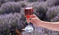 glare of the sun in a glass of rose wine<br>2BKG4NN glare of the sun in a glass of rose wine