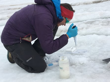 A scientist at work in the ice