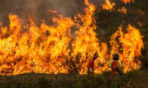 An estimated 280,000 hectares (690,000 acres) of forest in Portugal’s central Pinhal interior region have been burned.