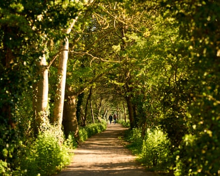 People walking on a treelined path under a canopy of branches