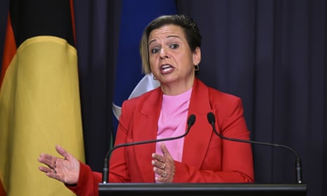 Communications minister Michelle Rowland said the Australian Communications and Media Authority would be able to enact an enforceable industry code against online misinformation if industry self-regulation measures prove insufficient.