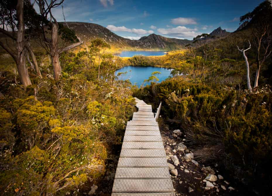 A walking trail in Tasmania's Cradle Mountain National Park.