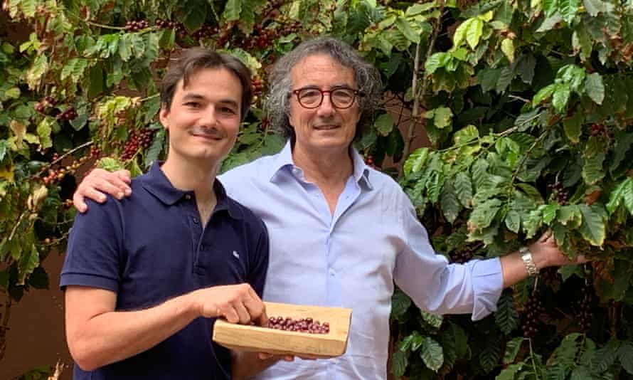 Sicilian coffee dream a step closer as climate crisis upends farming 1 Andrea and Arturo Morettino with their coffee plants in Sicily