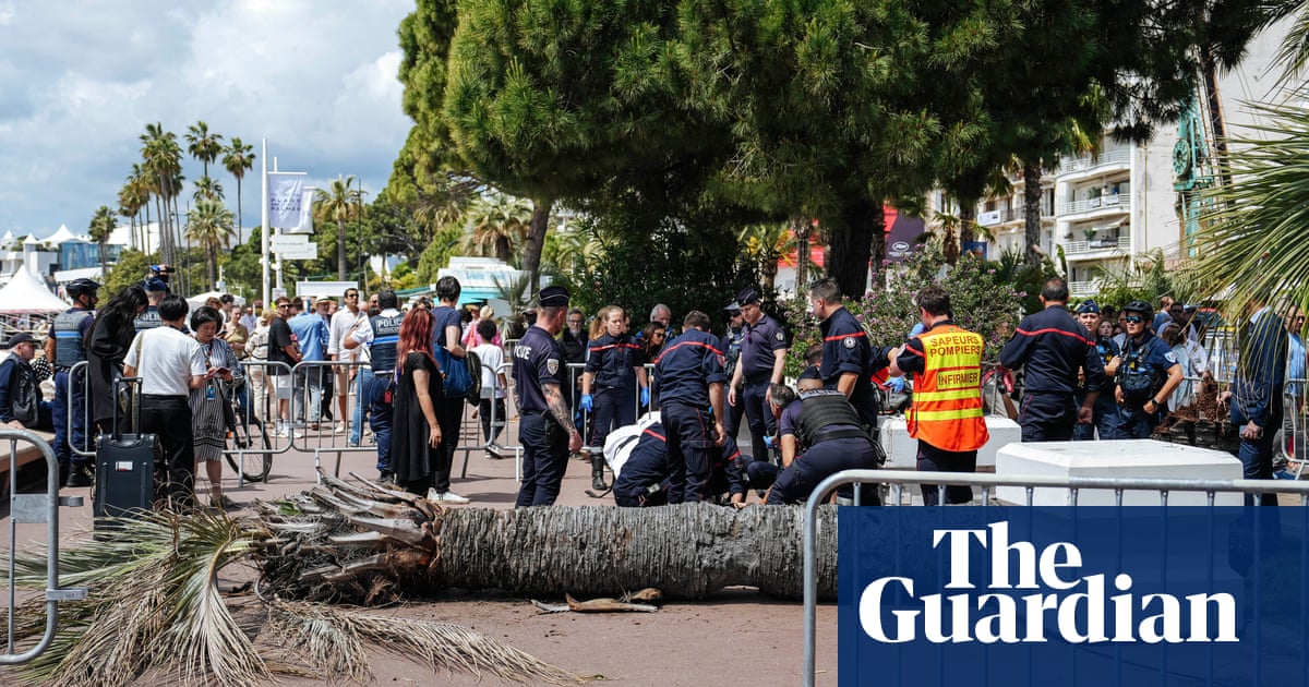 Call for safety review after producer injured by falling palm tree at Cannes film festival