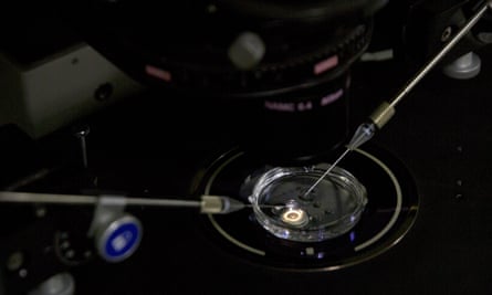 An embryo receives a small dose of Cas9 protein and PCSK9 sgRNA in a sperm injection microscope in a laboratory in Shenzhen, China.