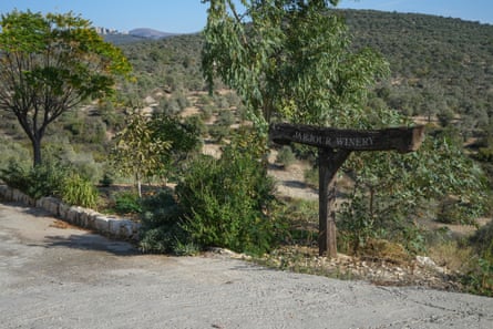 A wooden sign indicates the Jarjour winery on a dry-looking hillside covered in olive trees and small bushes.
