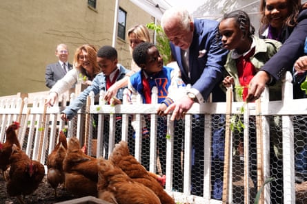 A man in a blue suit, alongside half a dozen children, lean over a fence to feed chickens.
