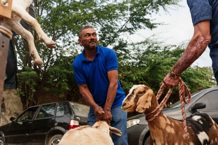 A man in a blue shirt holds a goat
