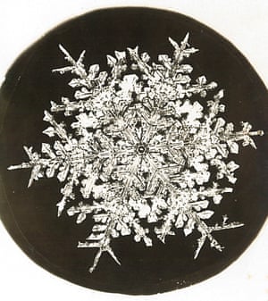 Wilson Bentley snowflakes circa 1920
