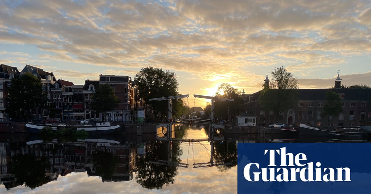 Time to reflect and gentle giraffes – readers’ best photographs Time to reflect and gentle giraffes – readers’ best photographs