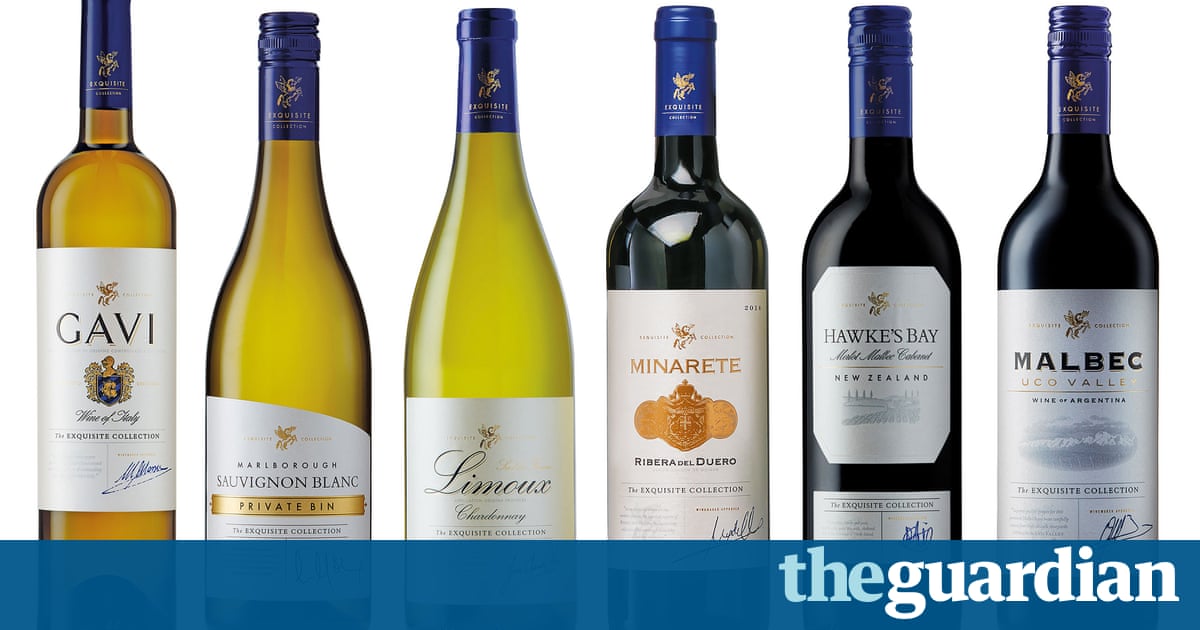 Aldi wine: the best award-winning wines to buy at aldi Aldi launches wine service | Business | The Guardian