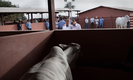 Talk and negotiation between farmers in an auction during Expozebu. Uberaba, Brazil, 2013.