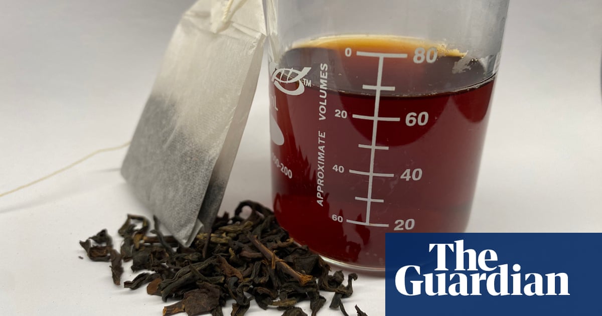 Brewing tea removes heavy metals from water, study finds