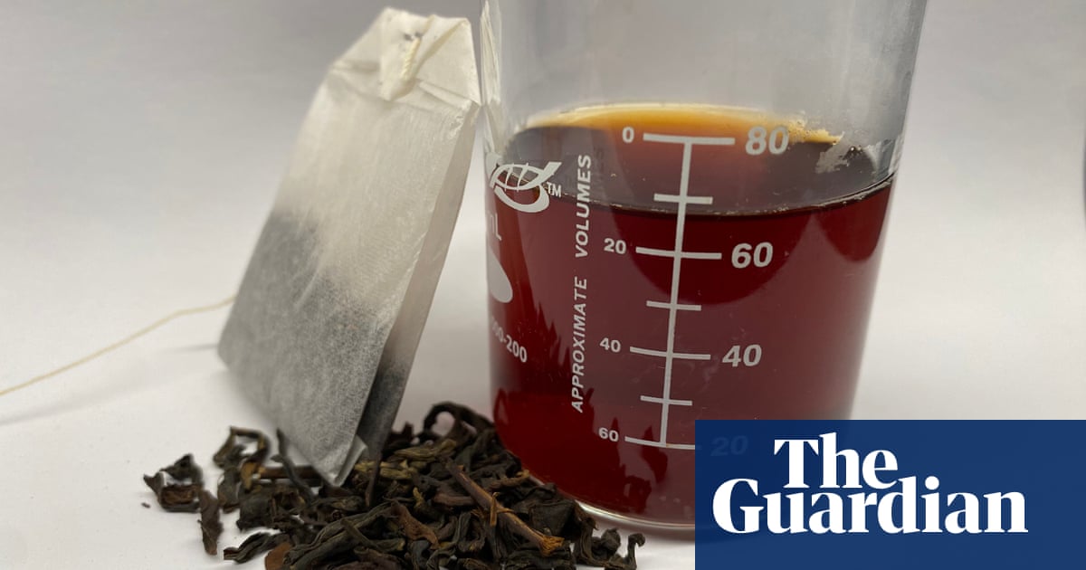 How Many Tea Bags Per Cup of Water: Perfect Brew Tips Revealed