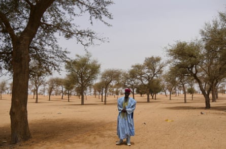 A Droum resident with the village’s mature gao trees.