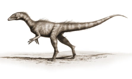 This is an artist’s impression of Dracoraptor hanigani.