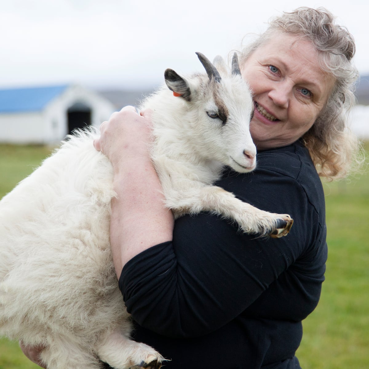 Chinese Woman Killing A Goat : What Is Mohair Here S ...