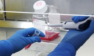 Gloved hands holding scientific equipment