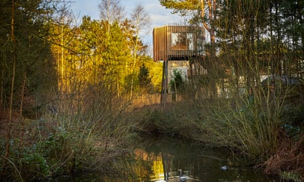 A treetop sauna in the middle of woodland