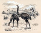 Artificial eggshell comes first in attempt to revive giant flightless moa