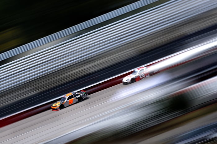 Buddha S Birthday Cygnets And Sumo Wrestlers The Weekend S Best Photos News The Guardian Buddha S Birthday Cygnets And Sumo Wrestlers The Weekend S Best Photos News The Guardian