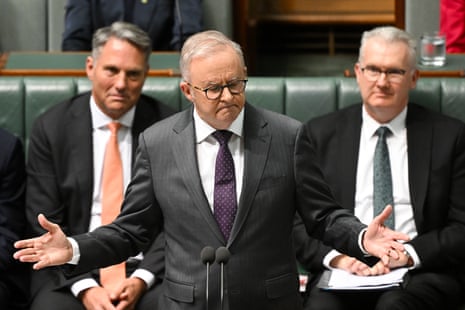 Anthony Albanese during question time